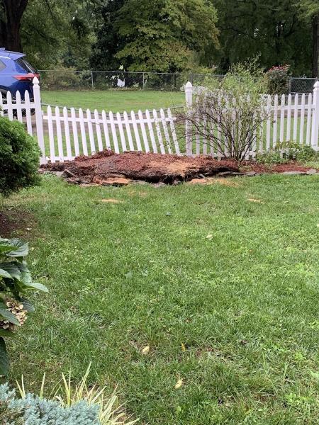 Hinson Tree Service