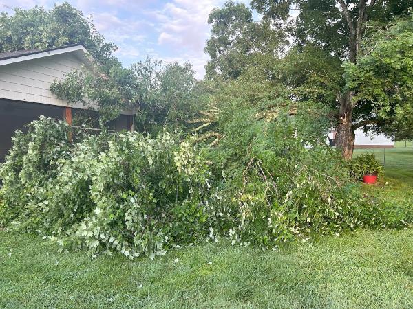 Hinson Tree Service