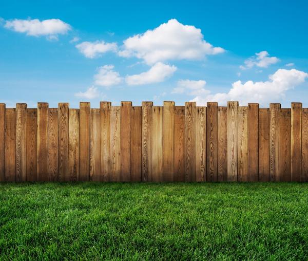 Cedar Creek Fence
