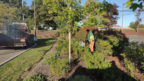 Artistic Tree & Landscape Creations