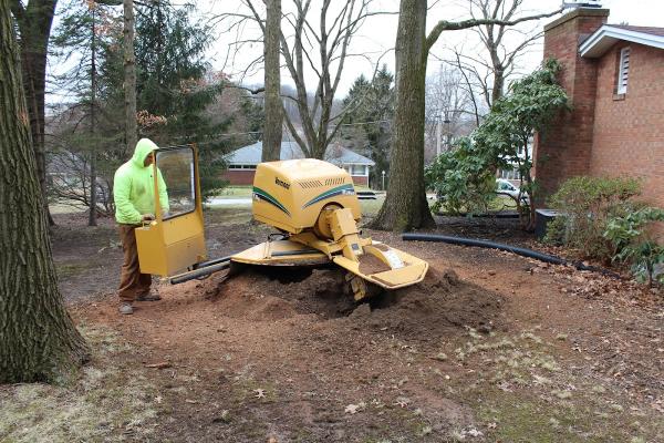 Artistic Tree & Landscape Creations