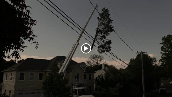 GA Tree Service
