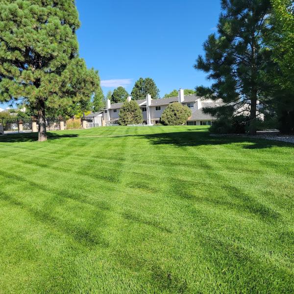 Four Elements Landscape & Outdoor Living