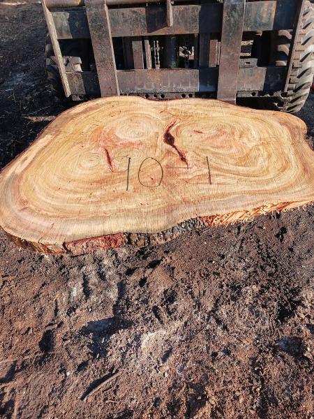 Altitude Tree Recovery (Atr)