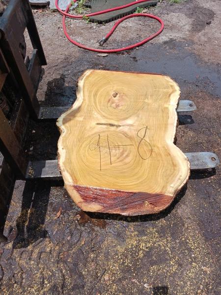 Altitude Tree Recovery (Atr)