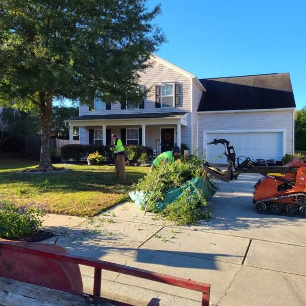 Greenleaf Tree Services