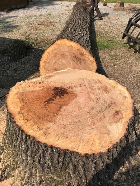 Greenleaf Tree Services