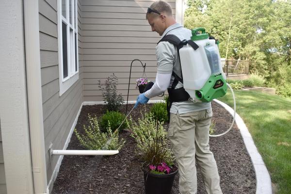 Dr Bug Pest Control