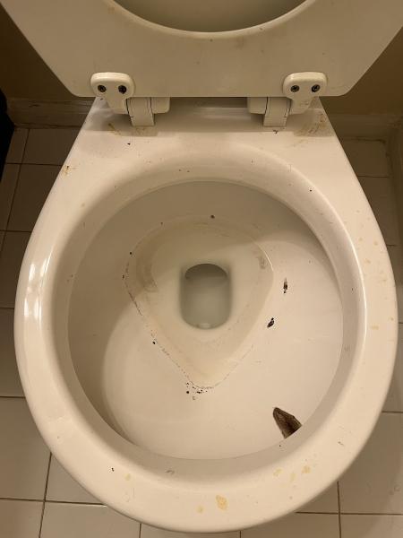 Danielle's Cleaning Service