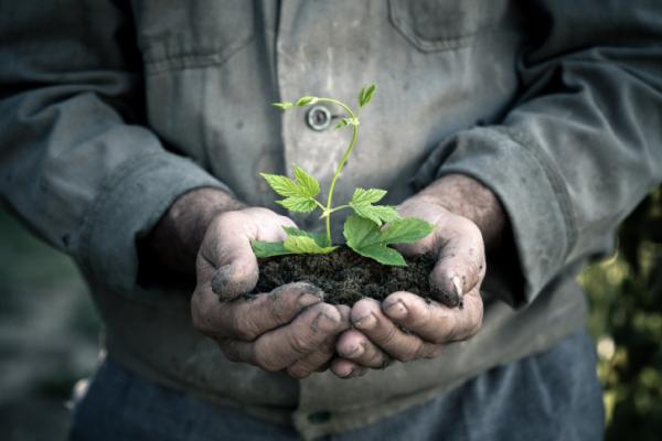 Aera Green Inc.