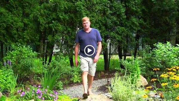 Green Jay Landscape Design