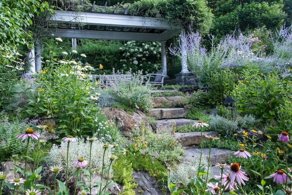 Green Jay Landscape Design