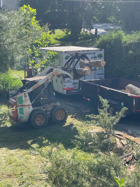 Statewide Tree and Stump Service