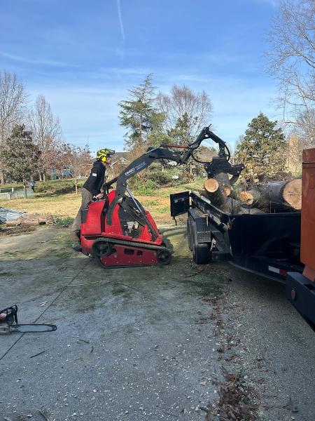 Tree Fellers LLC