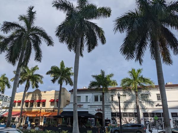Vision_miami