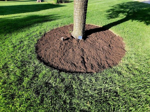 Hale Razor Stump Grinding and Site Services
