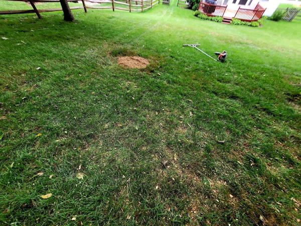 Halerazor Stump Grinding and Site Services