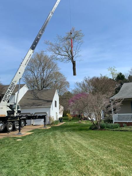 Bayview Tree Service