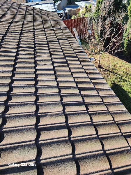 Pegaso Cleaning Services