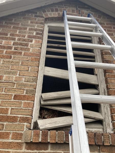 St Louis Pest Control