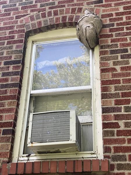 St Louis Pest Control