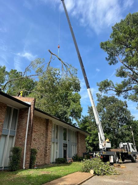 Jeff's Tree Service