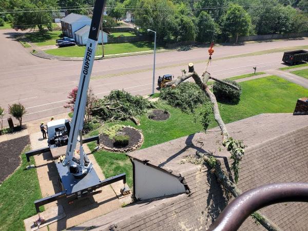 Jeff's Tree Service