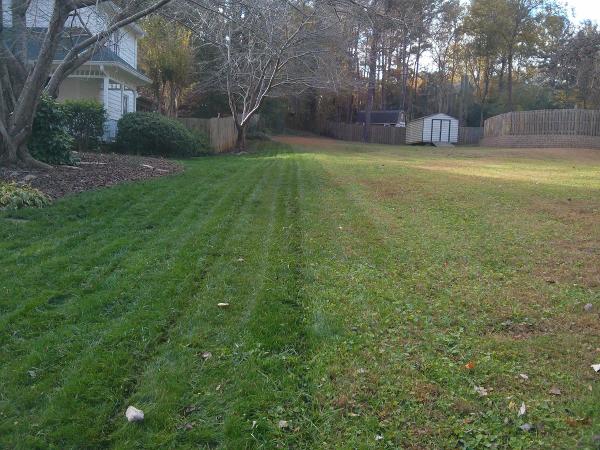 Wynn's Intensive Lawn Care