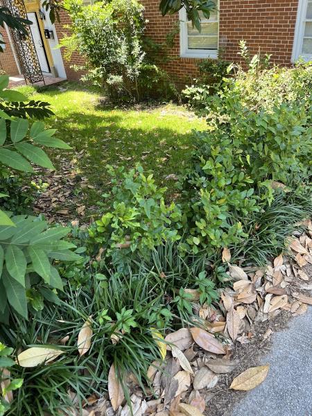 Montgomery Inc. Tree Service