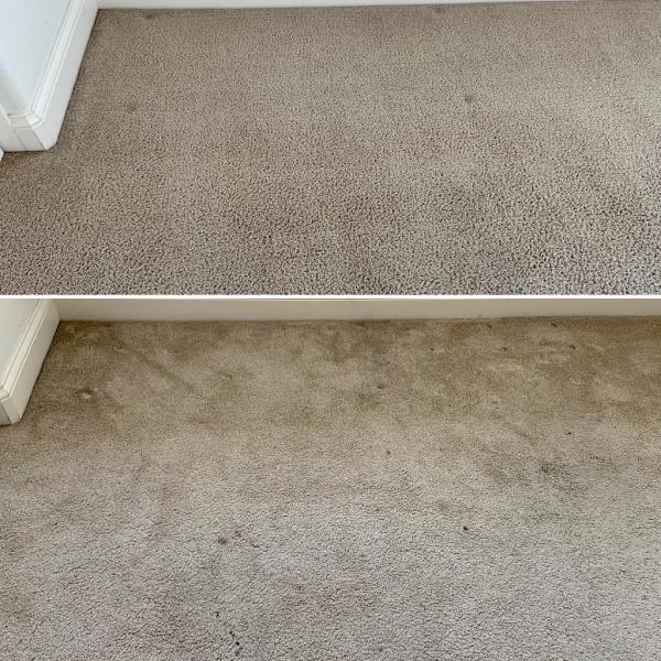 Heavenly Carpet Cleaning