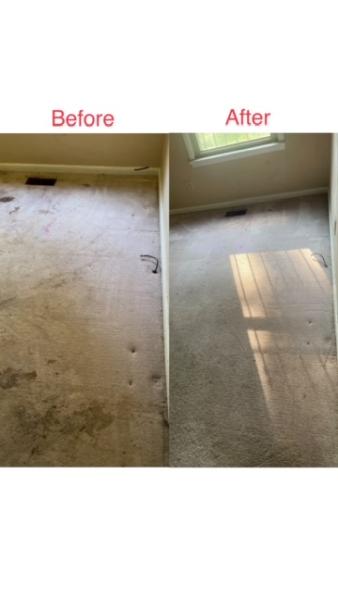 Premium Carpet Care