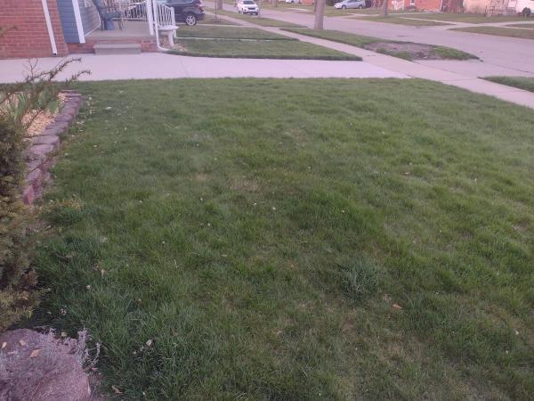Growing Greener Lawns