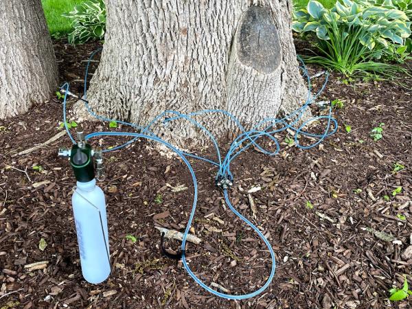 Arborcare