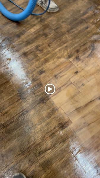 Allen's Carpet Care Plus