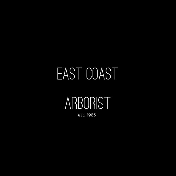 East Coast Arborist