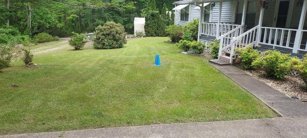 Larry the Lawn Ranger