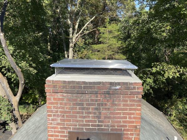 The Chimney Swifts & Dryer Vent Cleaning