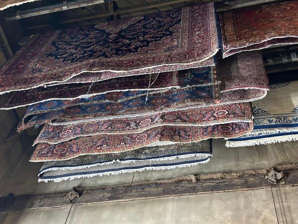 Martinous Rugs