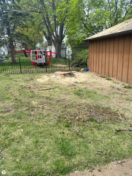 Elite Tree Removal