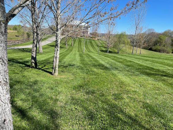 Maple Valley Property Maintenance