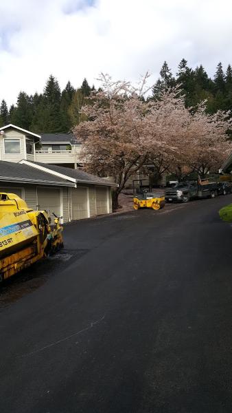 Rain City Paving Inc