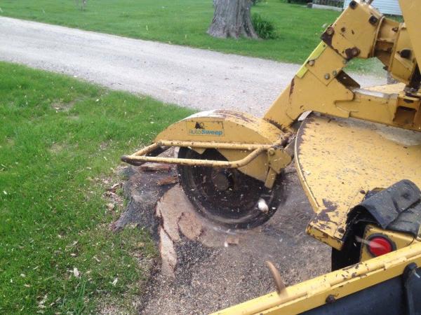 Total Tree Service