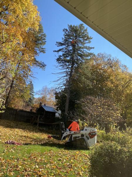 Total Tree Service