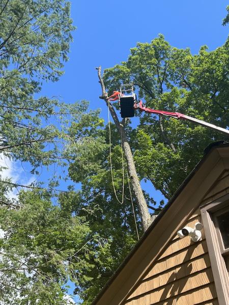Total Tree Service