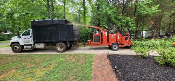 Little Bear Tree Service