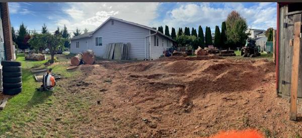 King Stump Grinding and Tree Removal