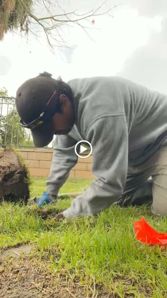 Southland Pest Control