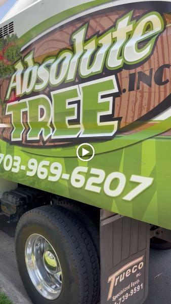 Absolute Tree Inc