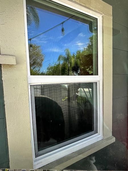 Window King