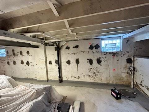 Advanced Basement Professionals
